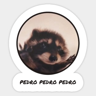 Pedro Raccoon Meme Animal Viral Pet Sticker